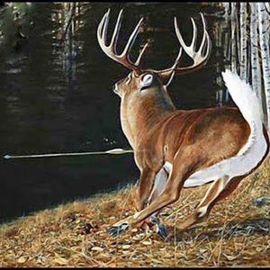 Meet your Posher, Colton